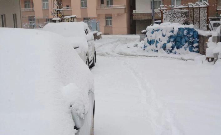 Hakkari’de 162 yerleşim yerinin yolu ulaşıma kapandı