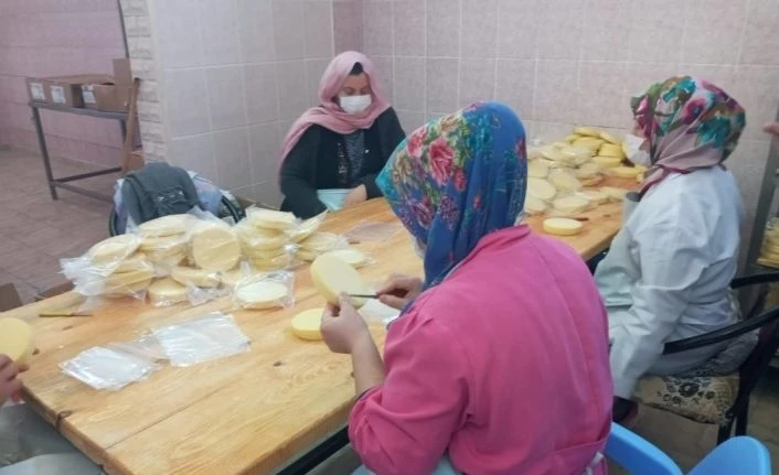 Iğdır’da süt ve süt ürünleri tesisi denetlendi