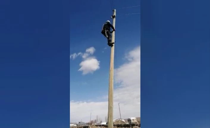 Köpeklerden kaçarken elektrik direğinde mahsur kaldı