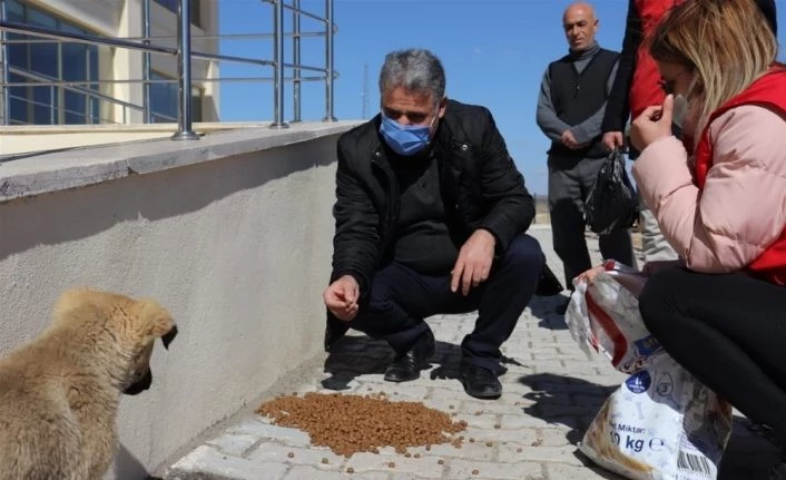 Sokak hayvanlarını besleyen gençlere plaket