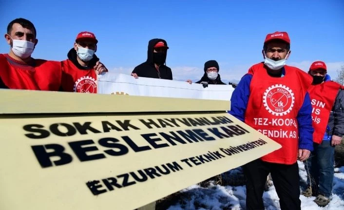 Tez-Koop-İş’ten, ETÜ’nün sokak hayvanlarına yönelik uygulamasına destek