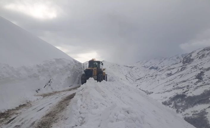 Tunceli-Erzincan karayolu kar nedeniyle tüm araç geçişlerine kapatıldı