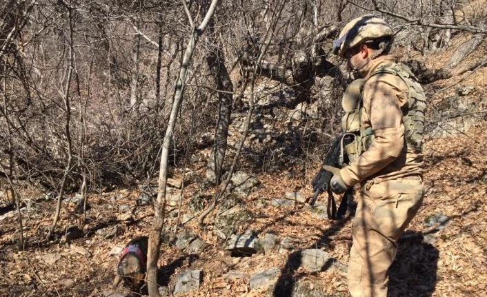 Tunceli’de Eren-7 Mercan-Munzur operasyonunda 2 sığınak imha edildi