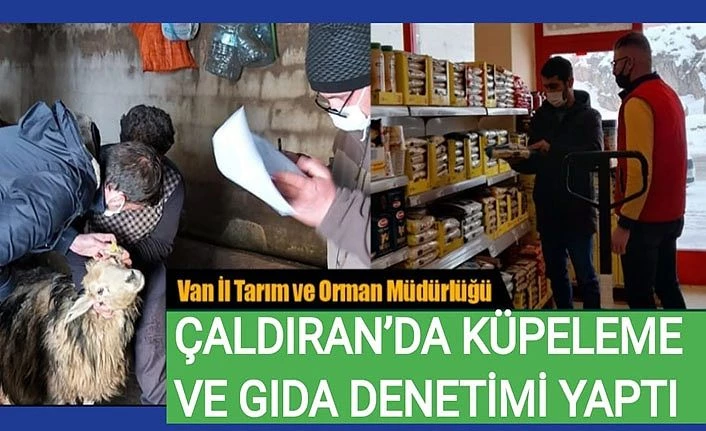 Van İl Tarım ve Orman Müdürlüğü Çaldıran’da küpeleme ve gıda denetimi yaptı
