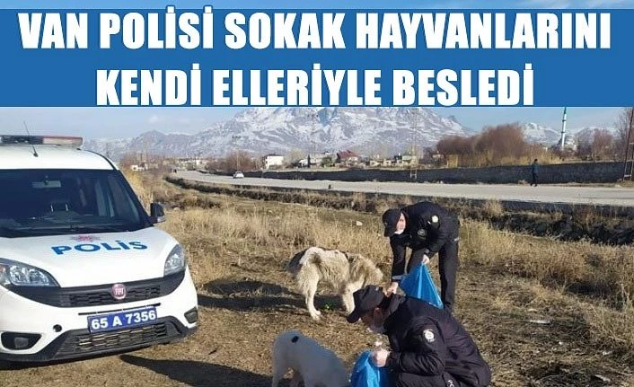 Van polisi sokak hayvanlarını kendi elleriyle besledi