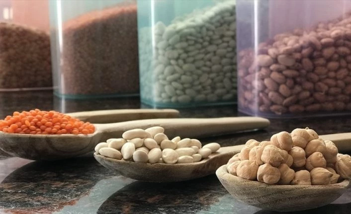 Yağışlar baklagil üreticilerini umutlandırdı