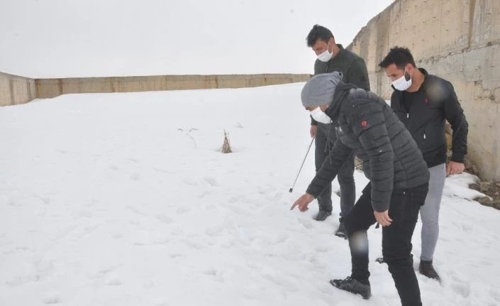 Yüksekova’da korku salan kurt sokak sokak aranıyor