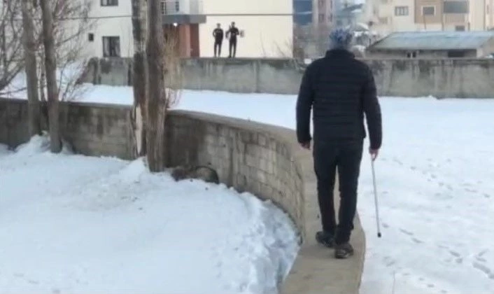 Yüksekova’da şehir merkezine inen kurt korkuttu