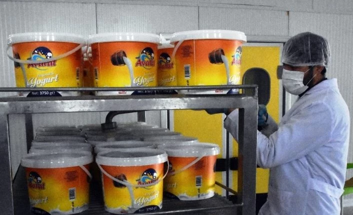 Yüzde 50 hibe desteğiyle süt ürünleri tesisi kurdu