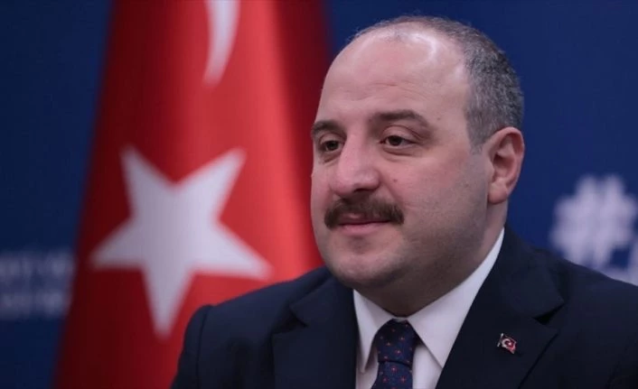 Bakan Varank, Türkiye