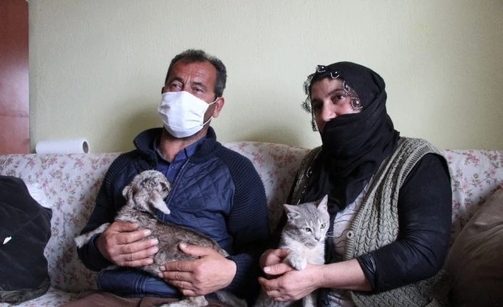 Bingöl’de içleri ısıtan görüntü, oğlağı evde bebek gibi bakıyorlar