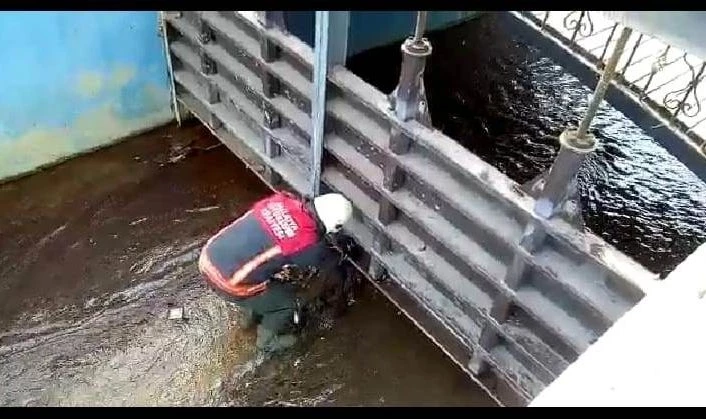 Demir korkuluklara sıkışan kediyi itfaiye kurtardı