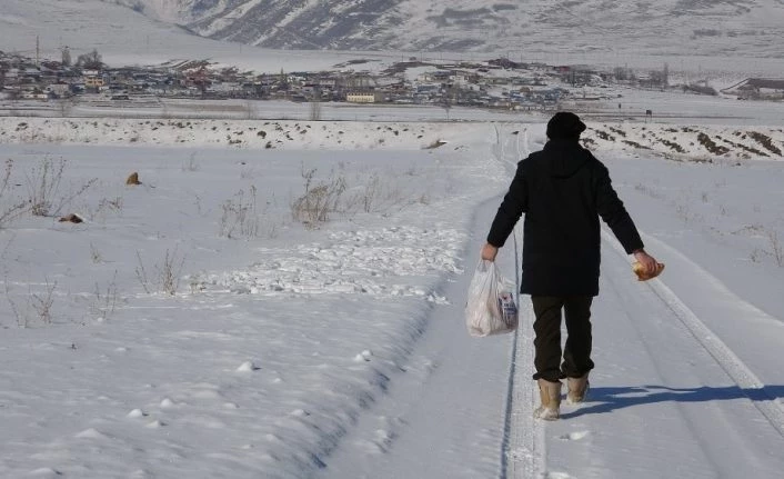 Doktora öğrencisi yabani hayvanlar için doğaya yem bırakıyor