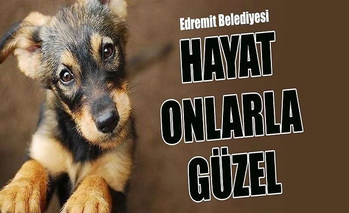 Edremit Belediyesi: Hayat onlarla güzel