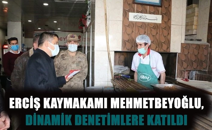 Erciş Kaymakamı Mehmetbeyoğlu, dinamik denetimlere katıldı