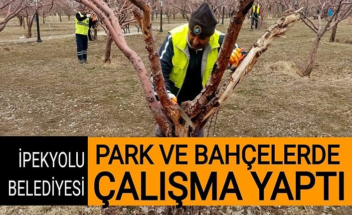 İpekyolu Belediyesi park ve bahçelerde çalışma yaptı