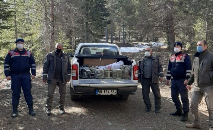Kaçak avcılar yakalandı, araçta bulunan keklikler doğaya salındı