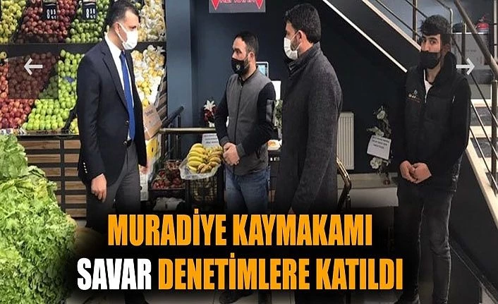 Muradiye Kaymakamı Savar denetimlere katıldı