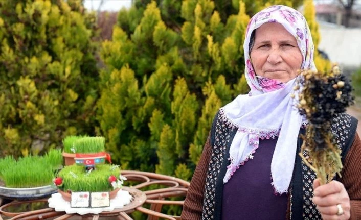 Nevruz Bayramı