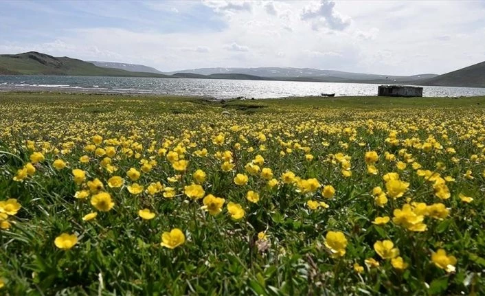 Nevruz