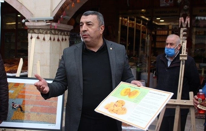 Özcan, Kayısının gelişim sürecini anlattı