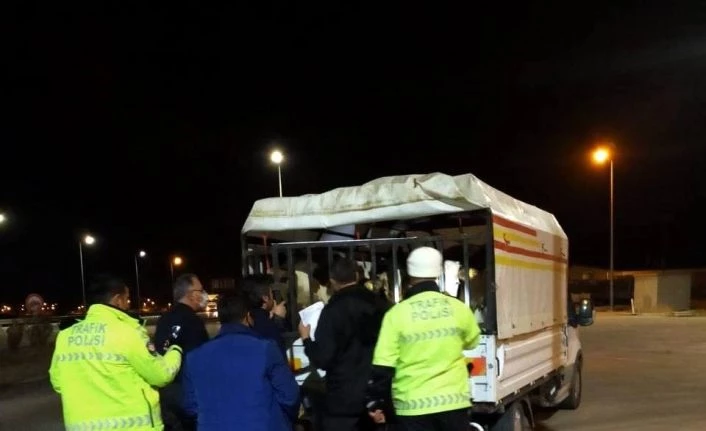 Polisin ‘dur’ ikazına uymayan araçtan nâkile uygun olmayan büyükbaş hayvanlar çıktı