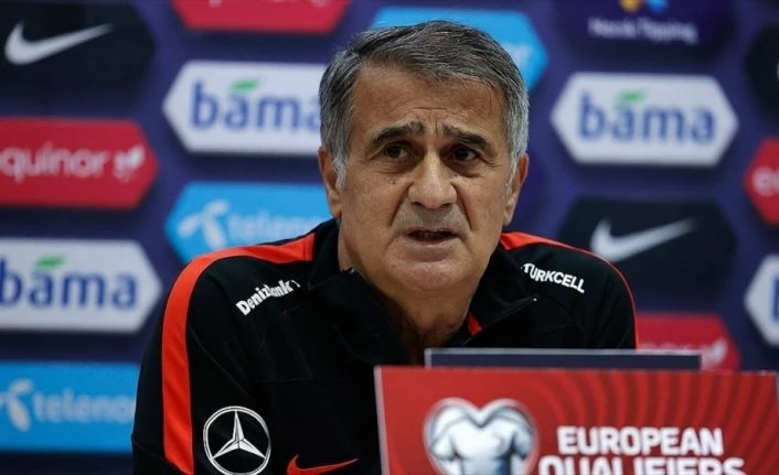 Şenol Güneş, A Milli Takım