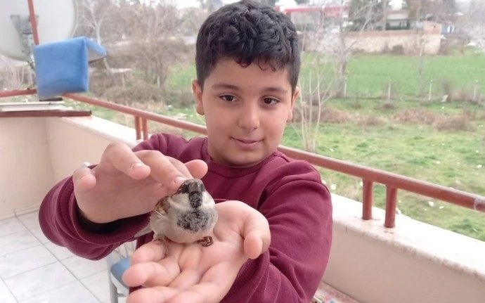 Soğuktan üşüyen minik Serçe, Ömer’in avuçlarında ısındı