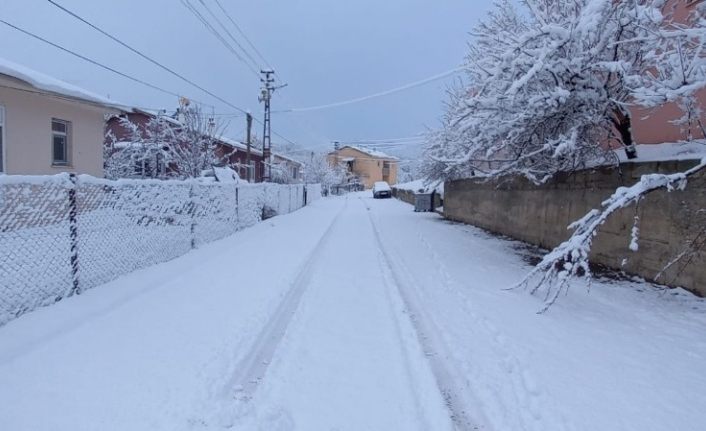 Tunceli’de Mart ayında yağan kar, 20 köy yolunu kapattı