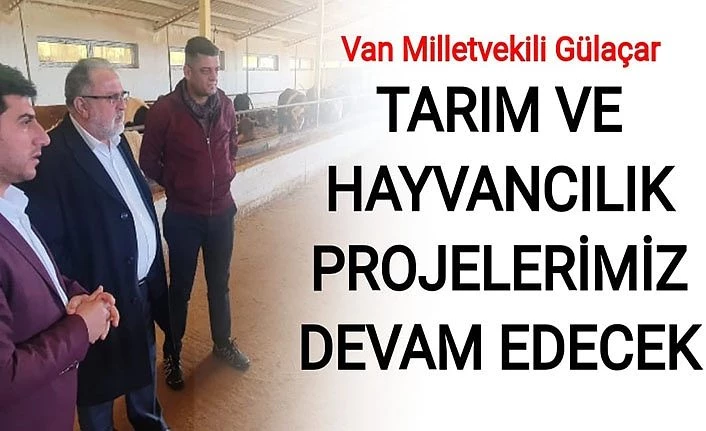 Van Milletvekili Gülaçar: Tarım ve Hayvancılık projelerimiz devam edecek