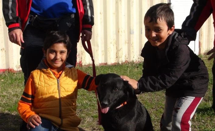 Arama kurtarma köpeğine oy birliğiyle ‘Gece’ ismi verildi