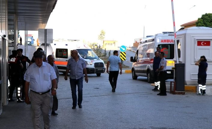 Arı sokmasına bağlı ciddi alerjik reaksiyonlar ölüme sebep olabilir