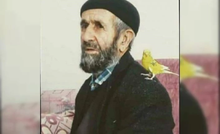 Bingöl’de kayıp yaşlı adam, 300 kişilik ekiple aranıyor