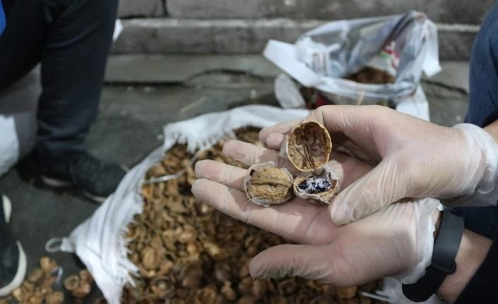 Ceviz kabuklarının içerisine gizlenmiş 153 kilo 550 gram afyon sakızı ele geçirildi