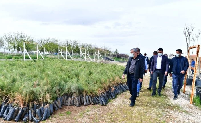 Çınar, Tepeköy fidanlık alanında ki çalışmaları inceledi