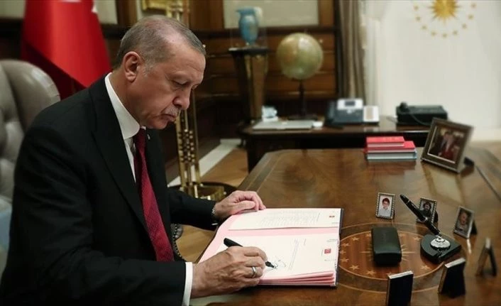 Cumhurbaşkanı Erdoğan, İnsan Hakları Eylem Planı
