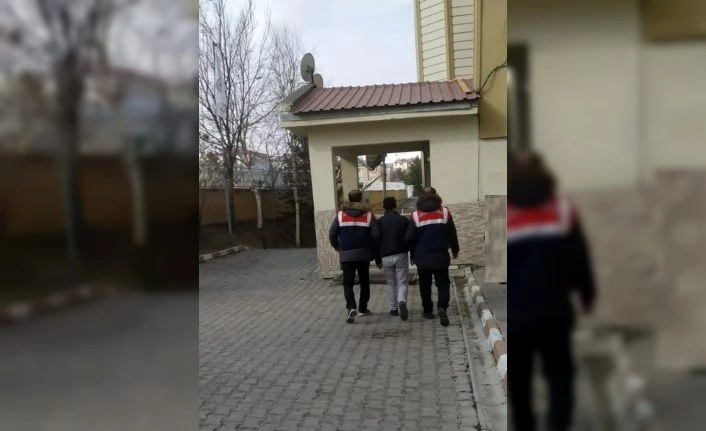 Cumhurbaşkanına hakarete ve terör örgütü propagandasına gözaltı