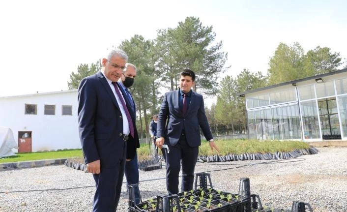 Güder, özel sera alanında incelemelerde bulundu