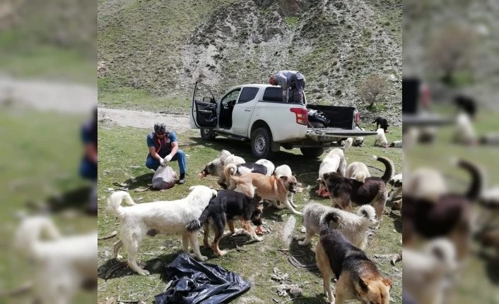 Hakkari’de can dostlara yiyecek bırakıldı