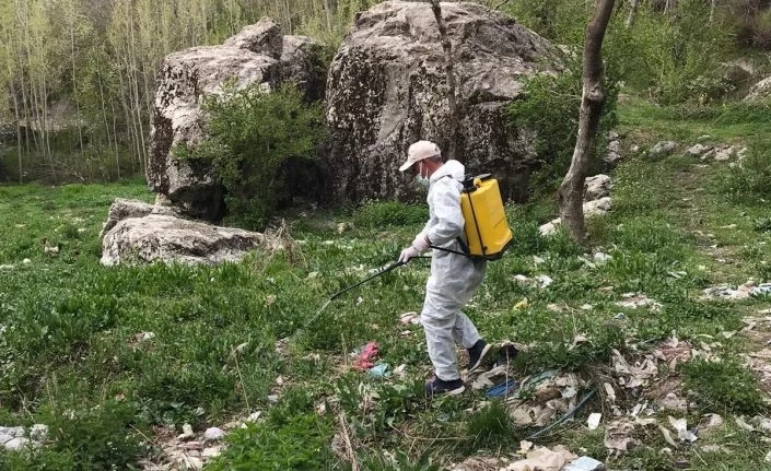 Hakkari’de ilaçlama çalışması