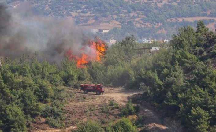 Hatay