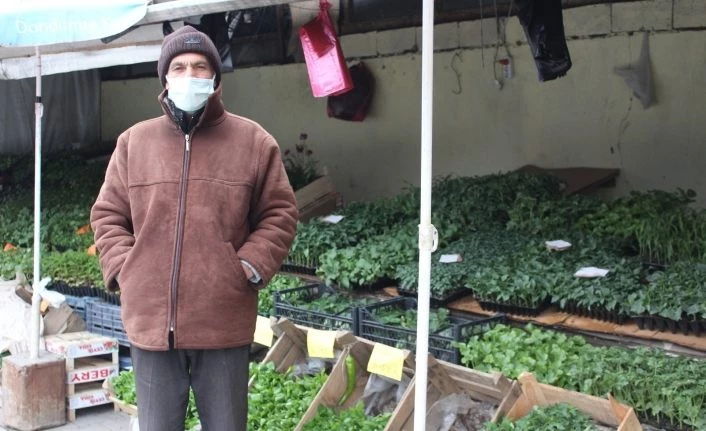 Iğdır’da soğuk hava fide satışlarını olumsuz etkiliyor