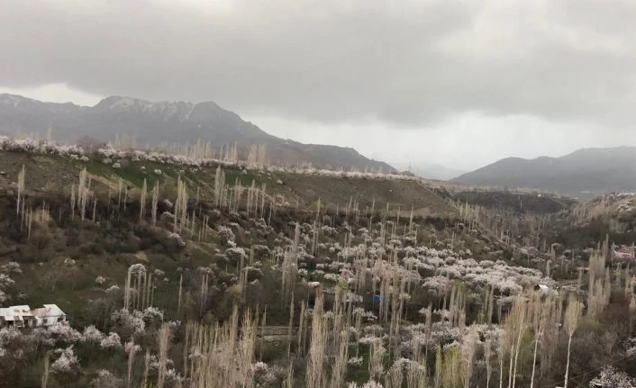Kağızman beyaz gelinliğini giydi