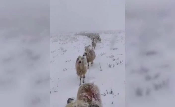 Kar yağışını sosyal medya hesabından canlı yayınla paylaşan vatandaşın takipçileri ile diyaloğu güldürdü
