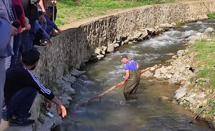 Kayıp yaşlı adamı bulmak için dereler didik didik aranıyor