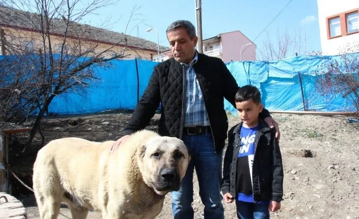 Köpek dile geldi; “Benim adım Ejder”