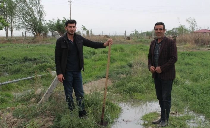 Kuraklığın baş gösterdiği Iğdır’da araziler sulanıyor