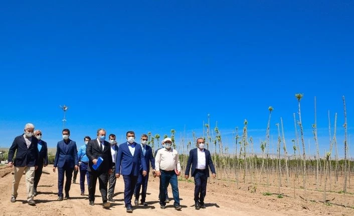 Malatya’da fidan üretim merkezi kurdu