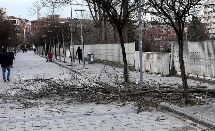 Meteoroloji