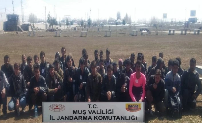 Muş’ta 42 düzensiz göçmen yakalandı
